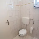 Xenia's 3 *