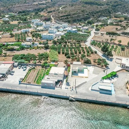 Xenia's 3 קפלוס