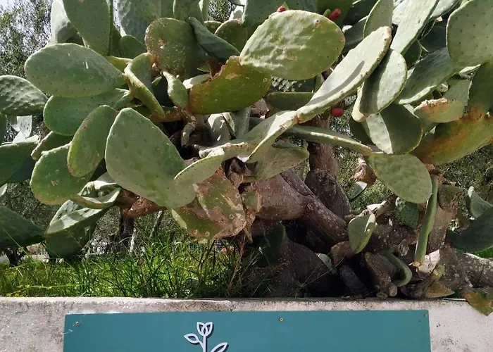 アパート Xenia's 3