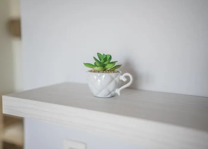 Xenia's 3 アパート *